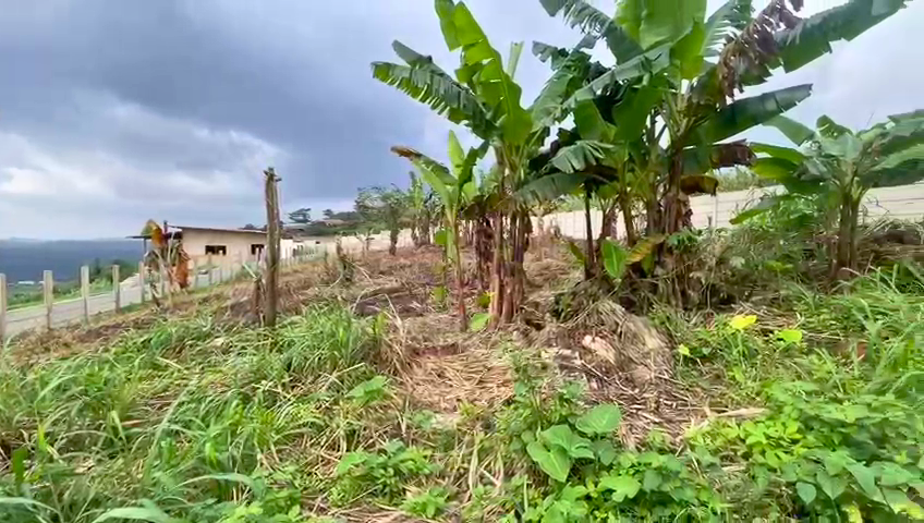 Prime Land in Aburi - Konkonuru