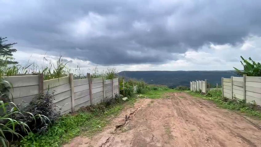Prime Land in Aburi - Konkonuru