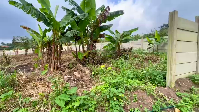 Prime Land in Aburi - Konkonuru