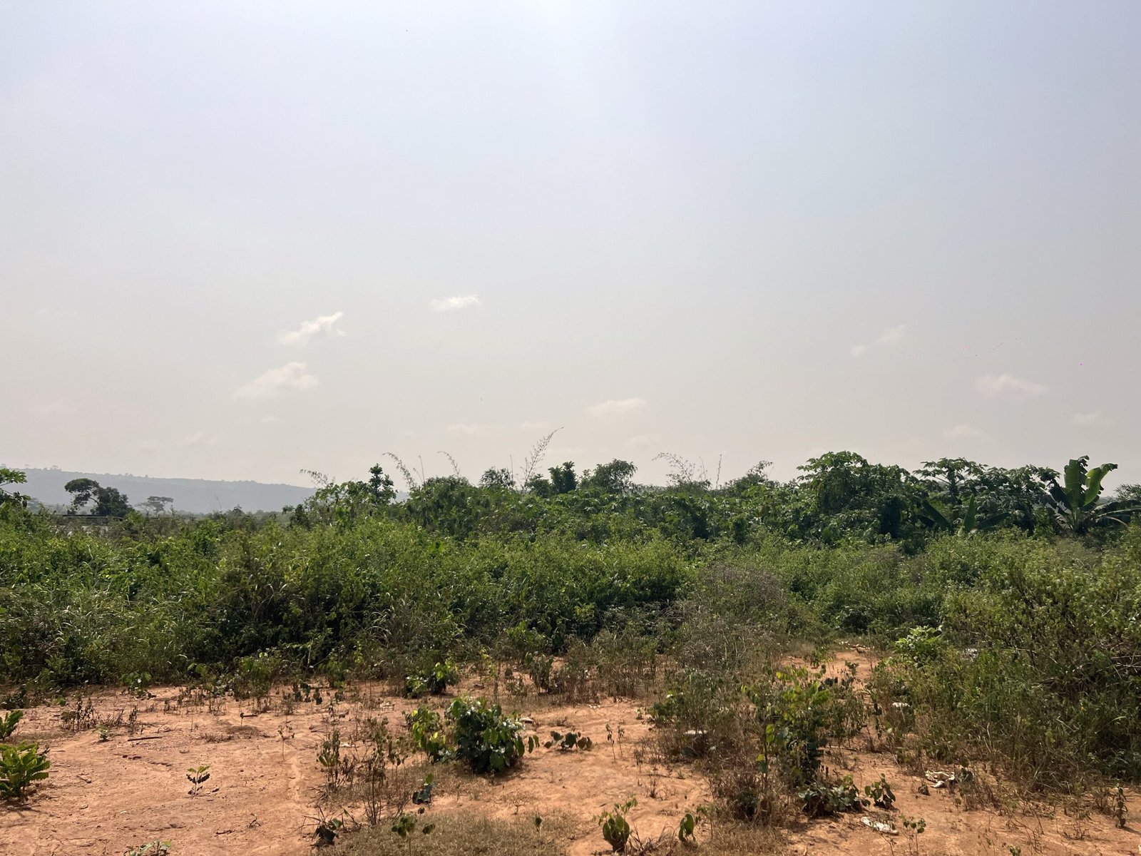 1 Acre Of Serviced Land In Aburi Amanfrom