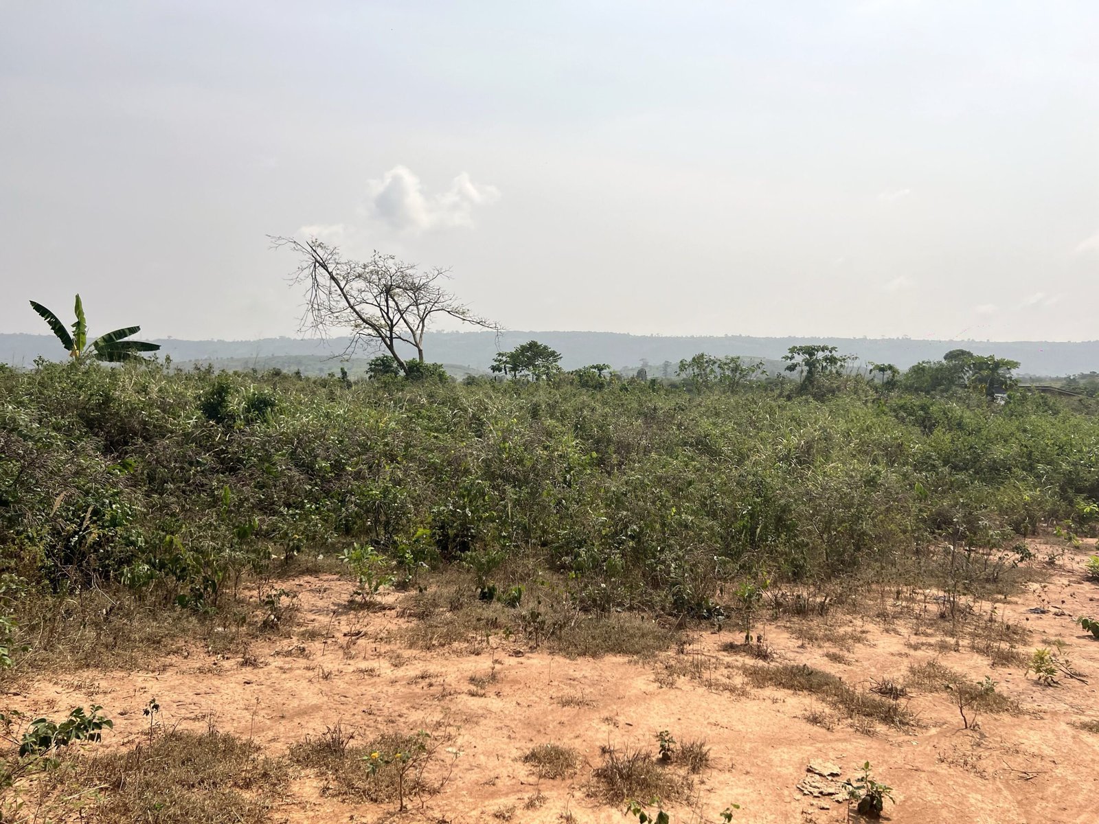 1 Plot Of Serviced Land In Aburi