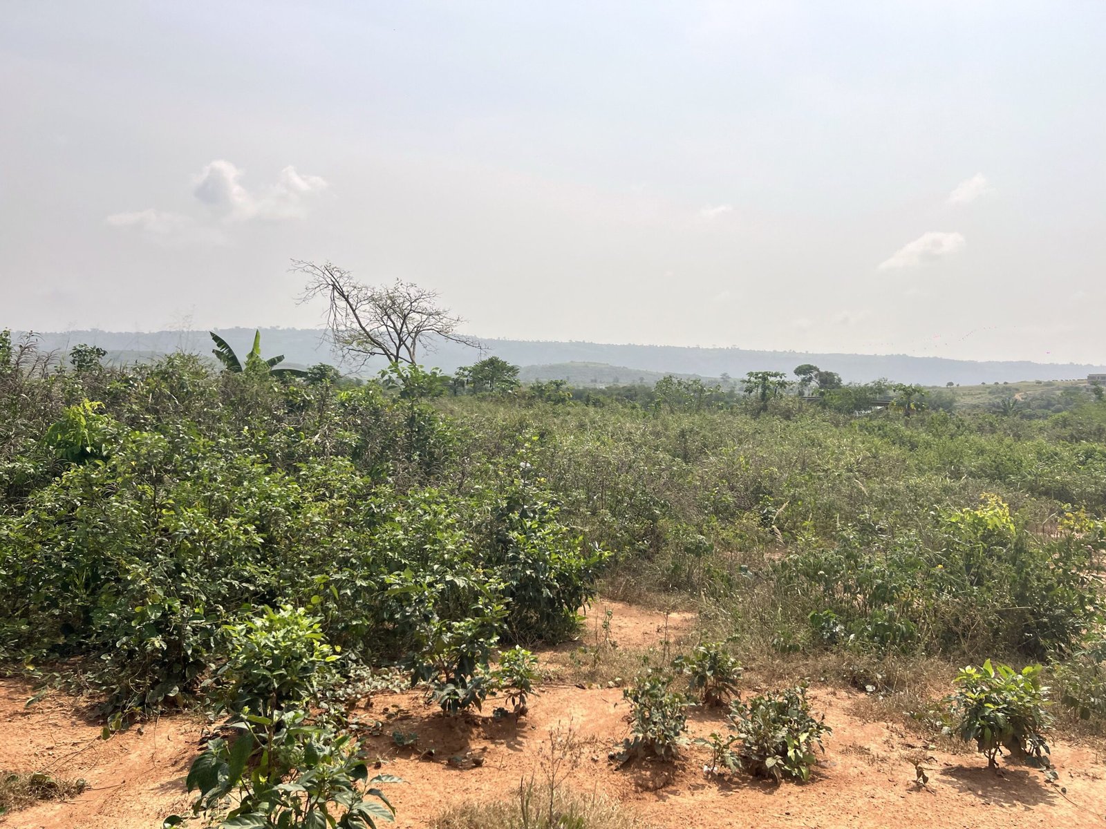 1 Plot Of Serviced Land In Aburi