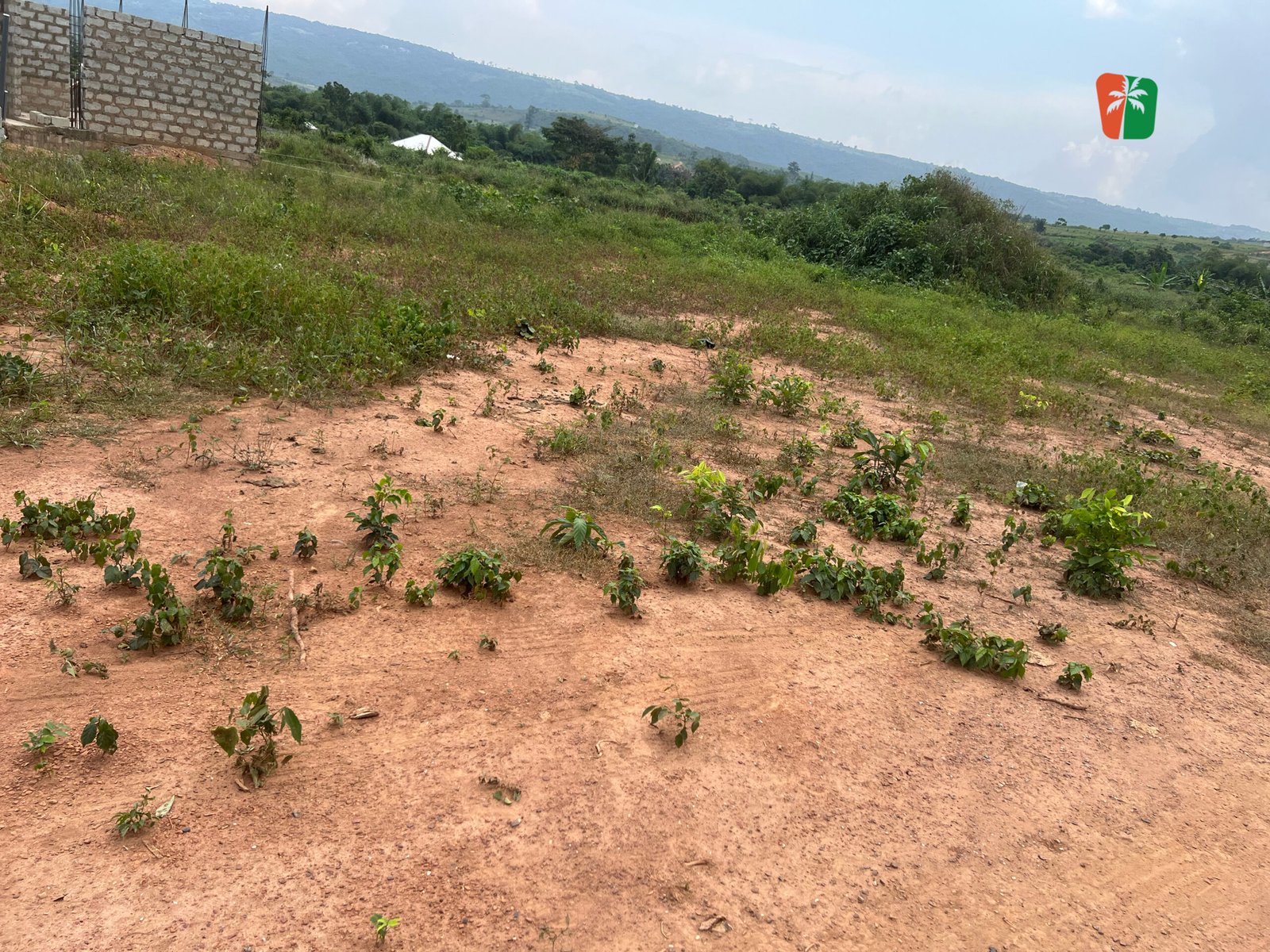 1 Serviced Residential Corner Plot Of Land In Aburi Amanfrom