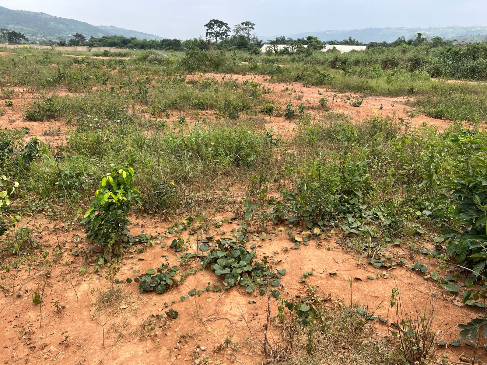 1 Serviced Residential Corner Plot Of Land In Aburi Amanfrom