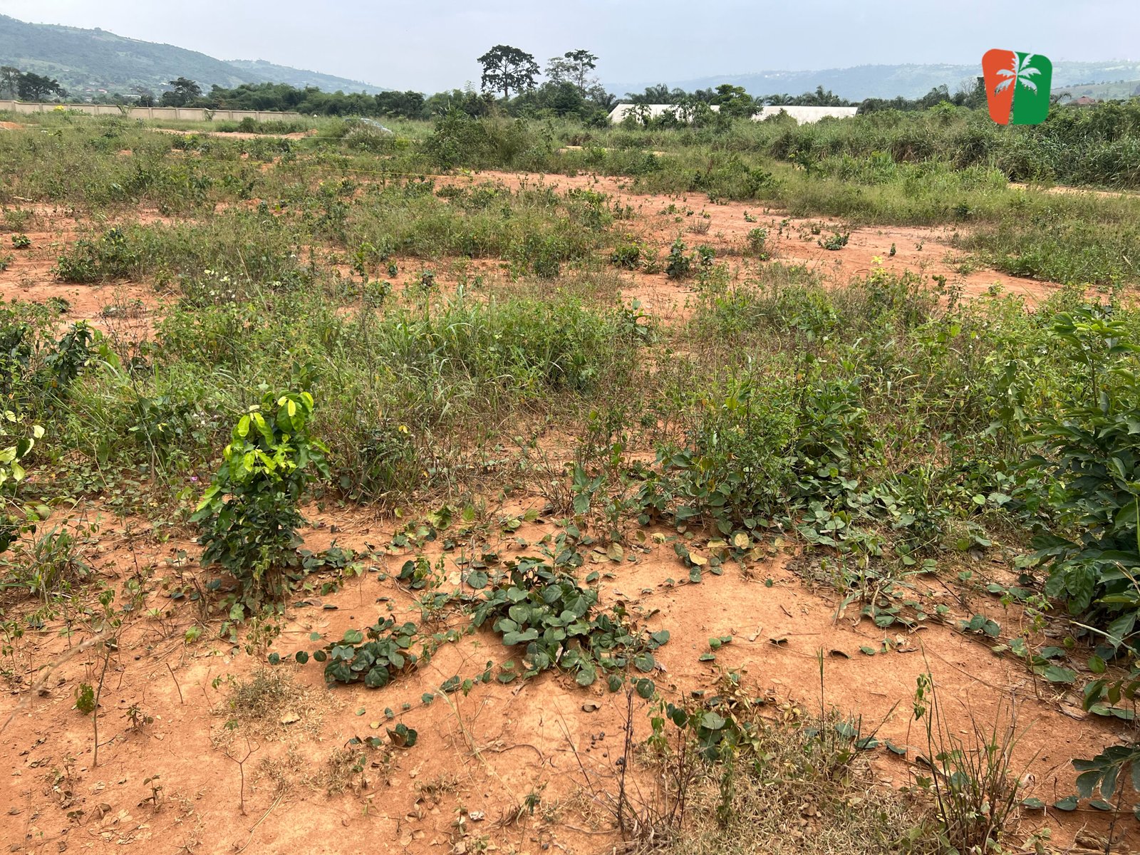 1 Serviced Residential Corner Plot Of Land In Aburi Amanfrom