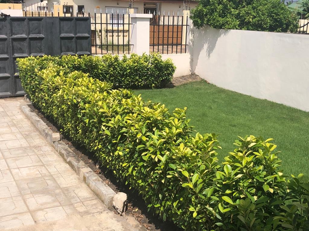 3 Bedroom Detached House In Tema Community 22