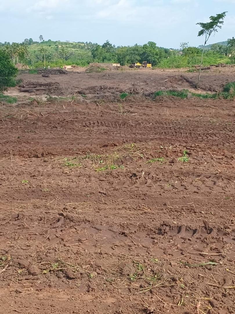 Land for Sale in Amasaman Obuom – Prime Residential & Investment Plot in Accra