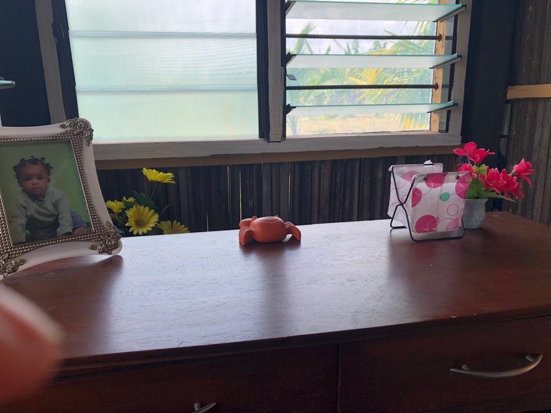 Previously Cultivated Farmland for Sale In Gomoa Adzintam GLOBALG.A.P Certified, Fully Serviced & Income-Ready