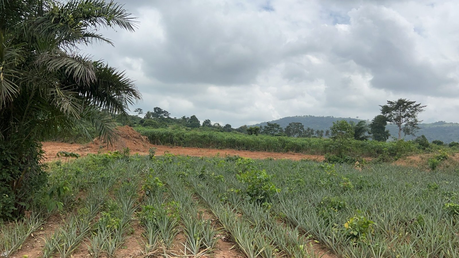 Scenic Half Acre Plot in Aburi