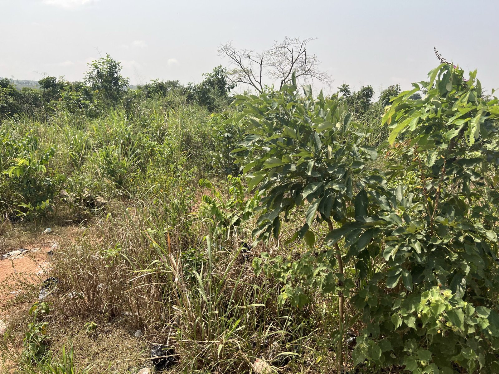 1 Plot Of Serviced Land In Aburi