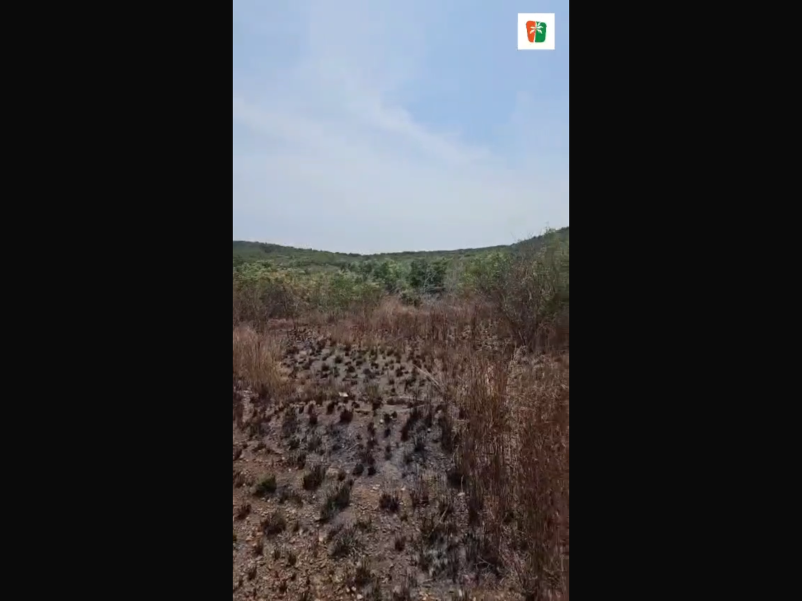 2 Plots of Land for Sale in Gomoa