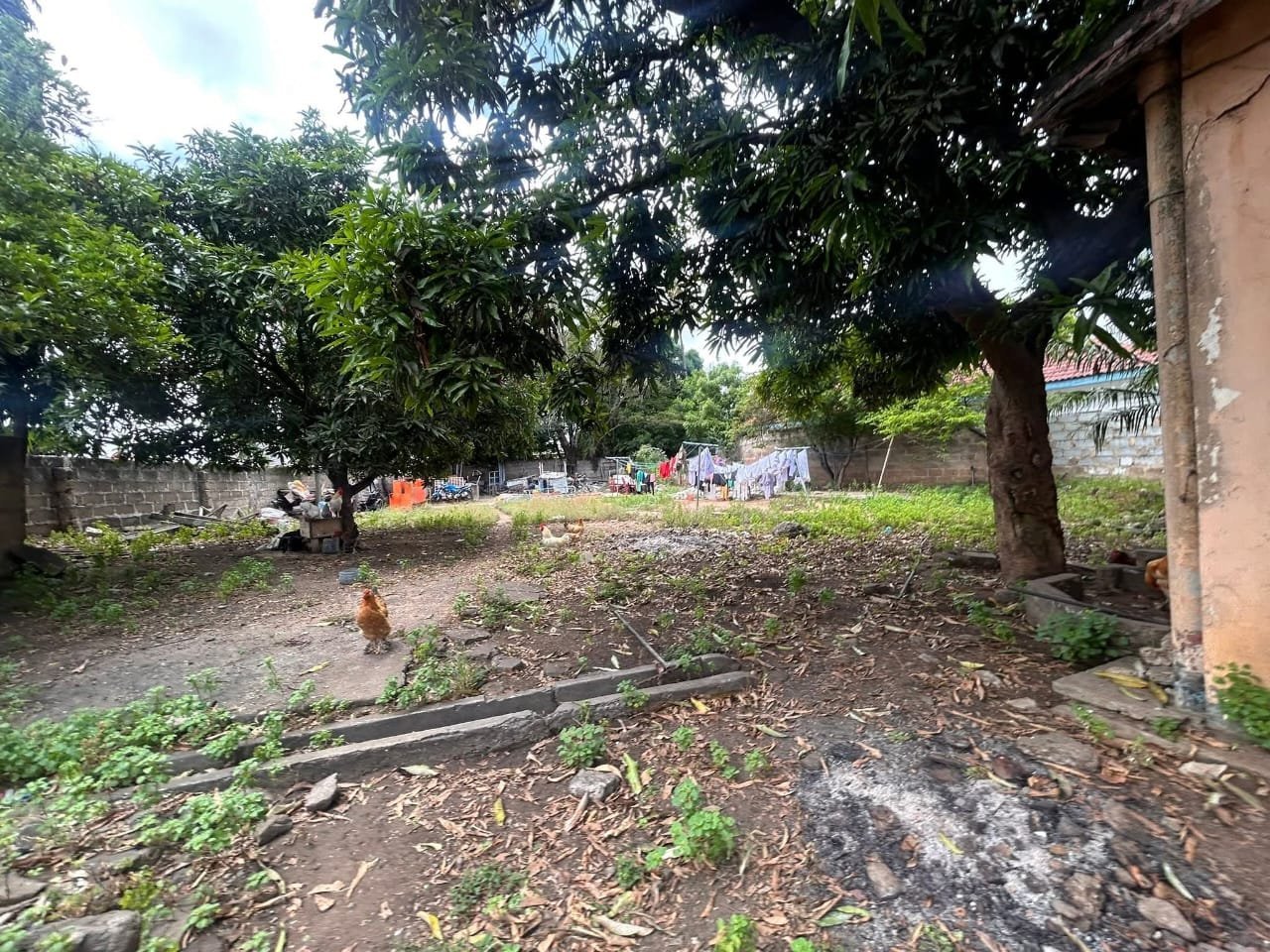 Joint Venture Opportunity in Kanda