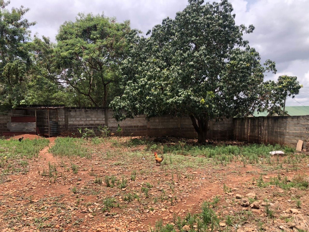 Prime Land for Sale in Oyarifa – 3 Plots on a Corner Lot ($220,000)