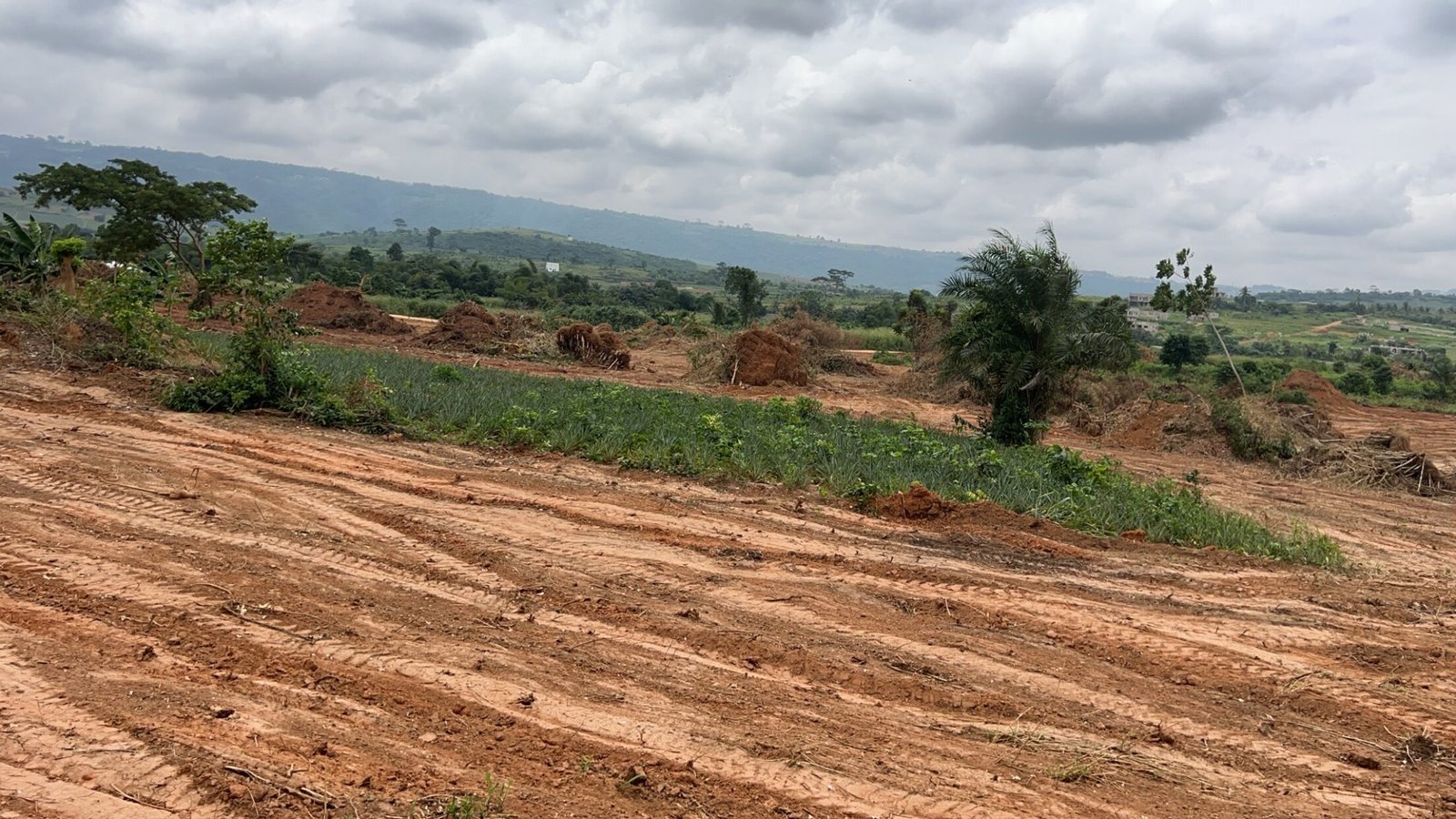 Scenic Half Acre Plot in Aburi