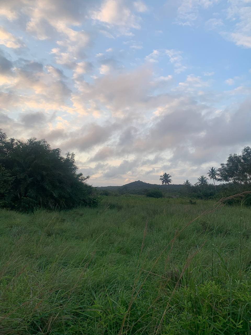 Lands for sale at Peshie near Elmina.