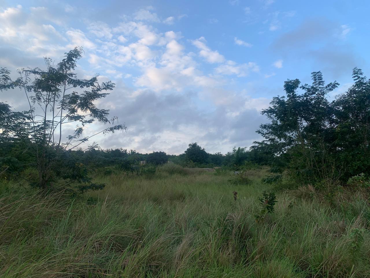 Lands for sale at Peshie near Elmina.