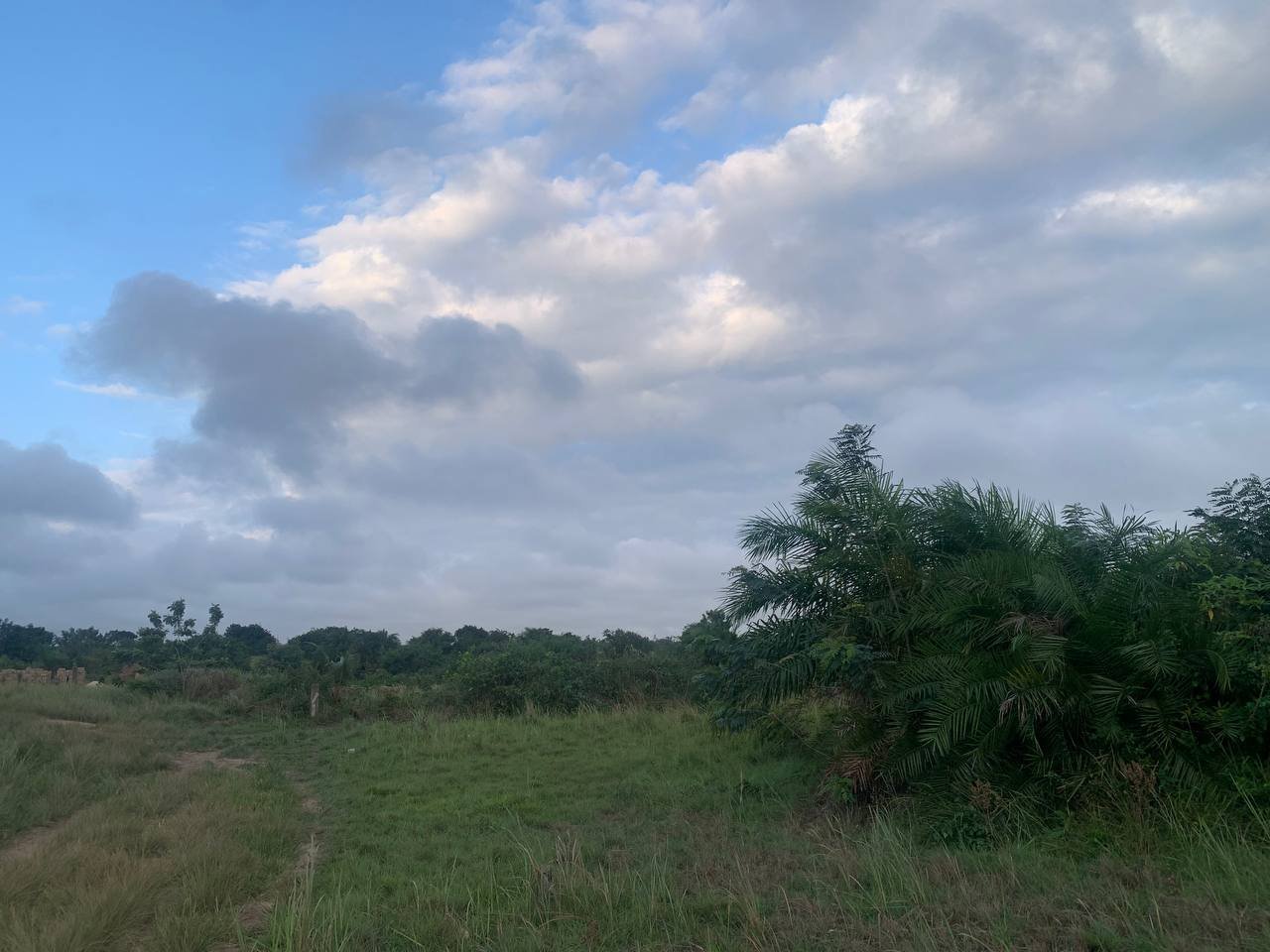 Lands for sale at Peshie near Elmina.